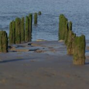 Arnside Dog Walk
