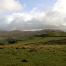 Linear Western Wainwrights