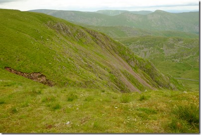 The Screes