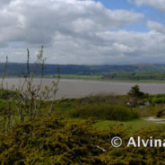 Arnside Shore and Knott