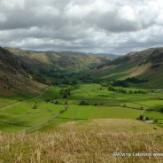 Mountain Leader Training