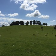 Softer South Lakeland