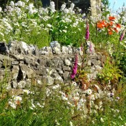 Cycling – Holme to Hutton Roof