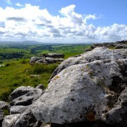 White Walls and Waterfalls