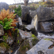 Wet day in Yorkshire