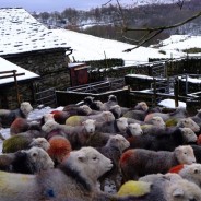 Tarns and Waterfalls