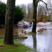 Wet and Watery Weather