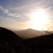 Needle in a Haystack
