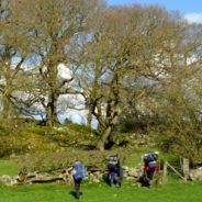 Slow Walk from Lancaster