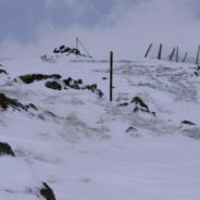 Sheep Dogs and Farmers