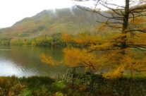 Autumn Colours and Mist