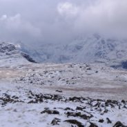 Sergeant Man White out