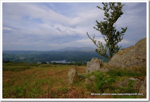 Windermere from Wansfell