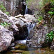 Away from the crowds