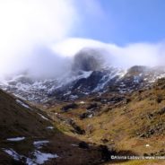 Spring to Winter and Back Again