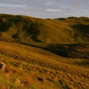 Wild Camping Weather