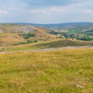 Should I use a Map or a Book or App?