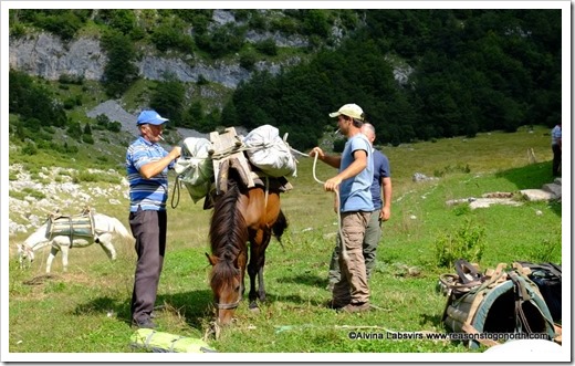 Pack Ponies Montenegro