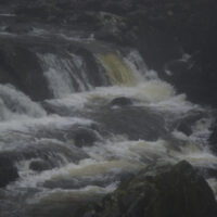 Yet another wet walk!