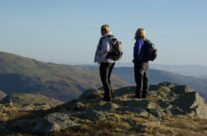 January Sunshine!