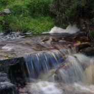 Day 7 Keld to Reeth