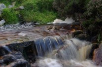 Day 7 Keld to Reeth
