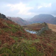 Wind Rain and Mist