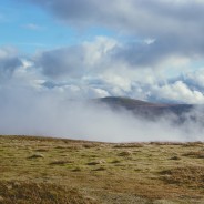 Why Walk Wainwrights?