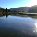 Wye Valley Woodlands