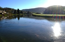 Wye Valley Woodlands