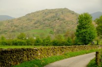 The Troutbeck Tongue