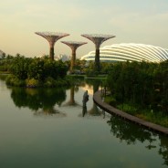 Singapore Stopover