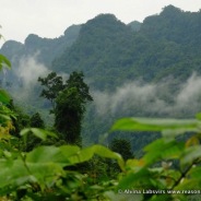 Phong Ke Bang National Park