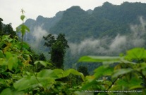 Phong Ke Bang National Park