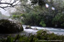 Nuoc Mooc Eco Trail