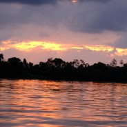 Two Weeks in Sabah