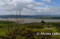 Arnside Shore and Knott