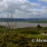 Arnside Shore and Knott