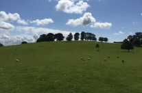 Softer South Lakeland