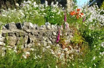 Cycling – Holme to Hutton Roof