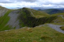 Classic Coledale