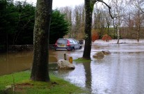 Wet and Watery Weather