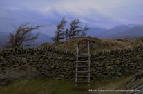 Black Crag from Coniston