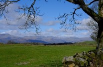 Weekend Wandering