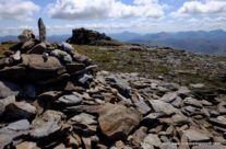 Monros and Midges