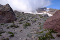 Mount Hood