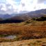 Rosthwaite Fell