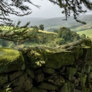 The Nidderdale Way