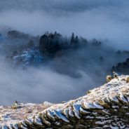 Recollections of my COVID Year