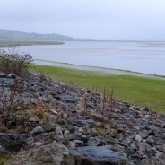 Walk on a Grey Day